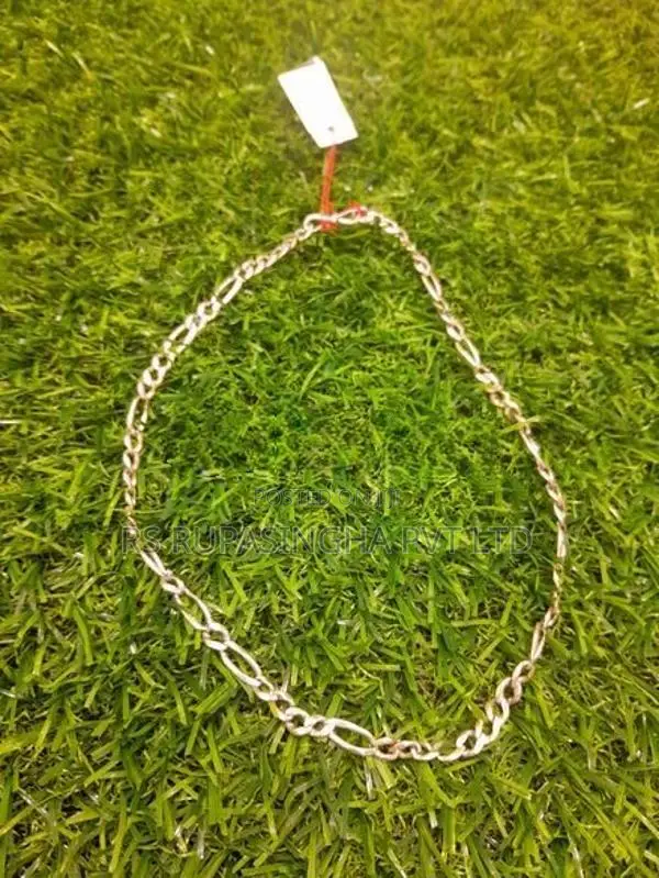 Silver Chain