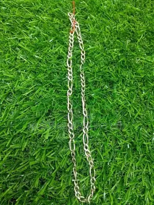 Silver Chain