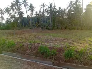 පන්නල බම්මන්න පාරෙන් බිම් කොටස්