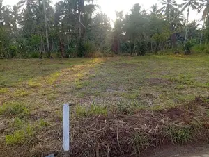 පන්නල බම්මන්න පාරෙන් බිම් කොටස්