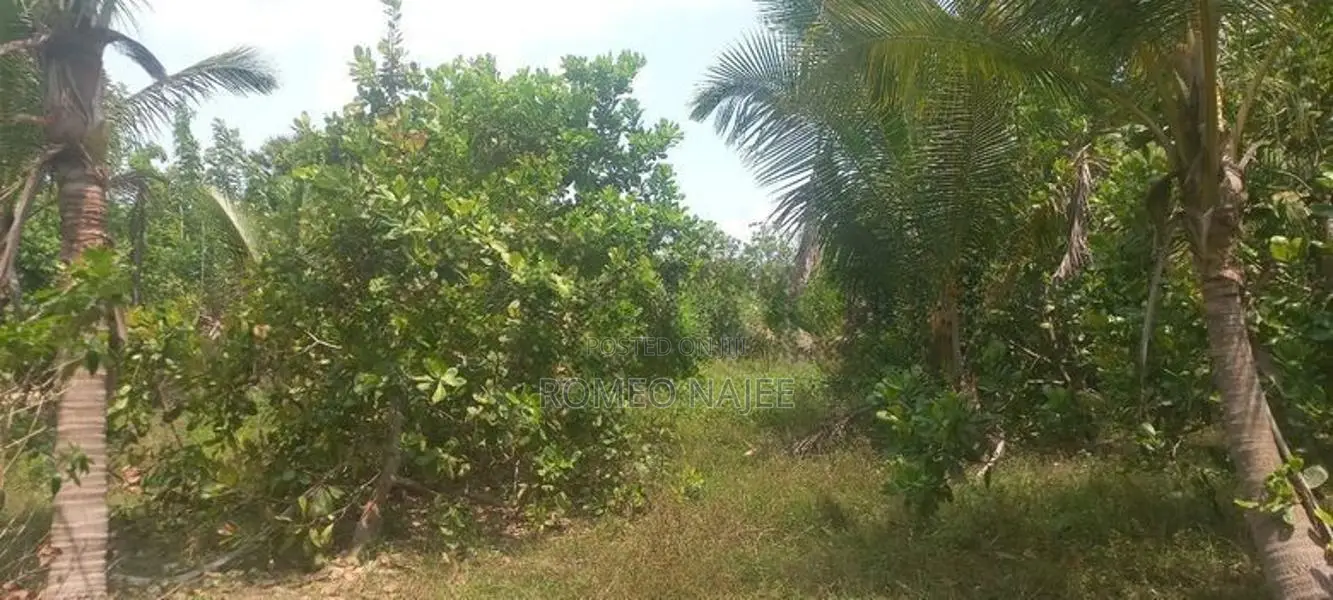 Kilinochchi House for Sale