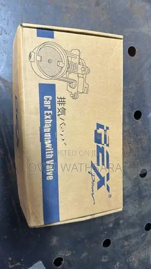 Car Valvetronic Exhaust System