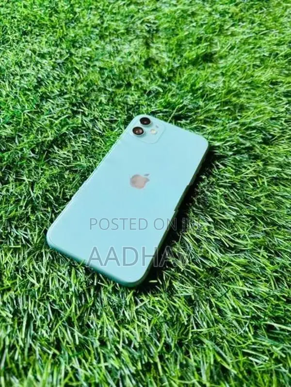 Apple iPhone 11 (Used)