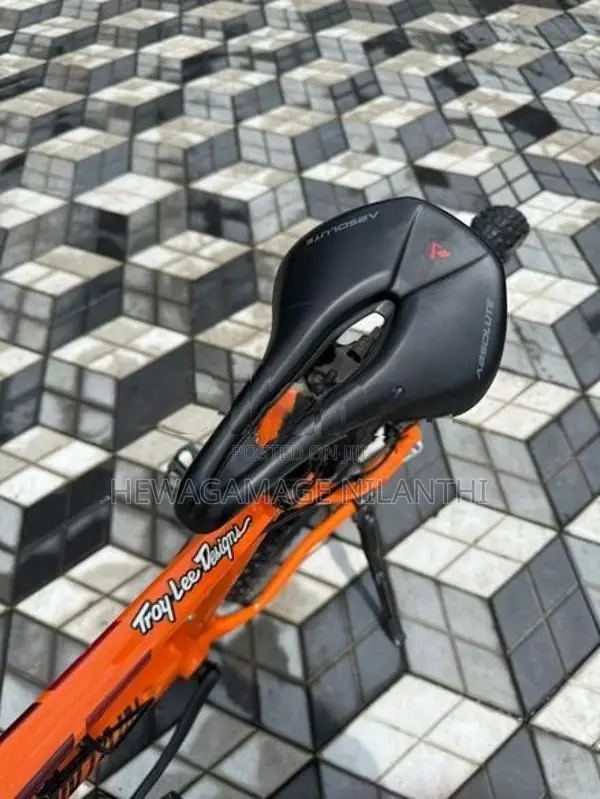 Mountain Bicycle