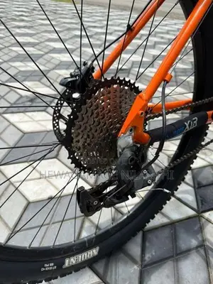 Mountain Bicycle
