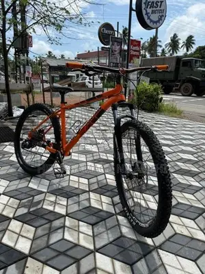 Mountain Bicycle