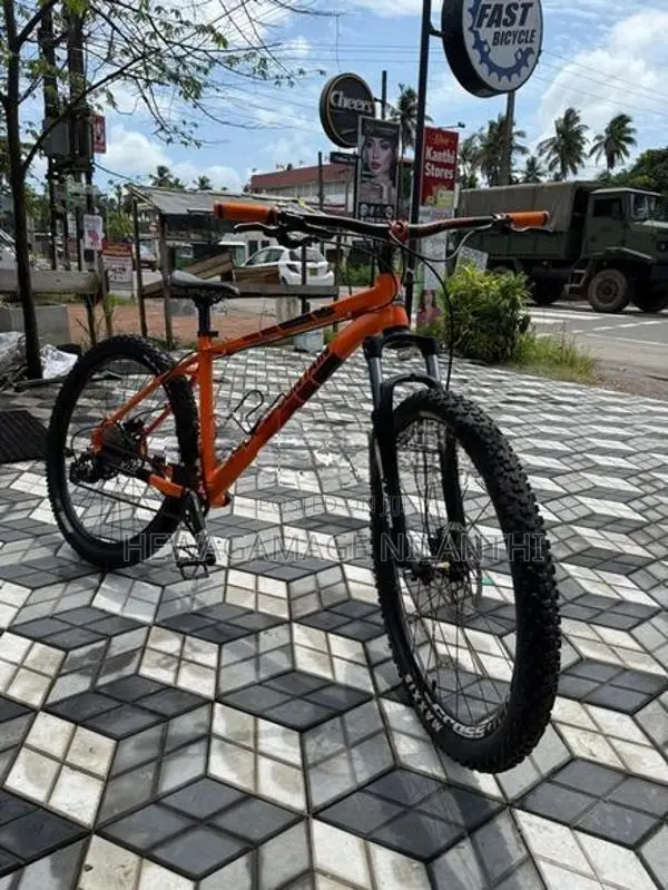 Mountain Bicycle