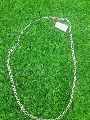 Silver Chain