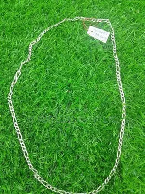 Silver Chain