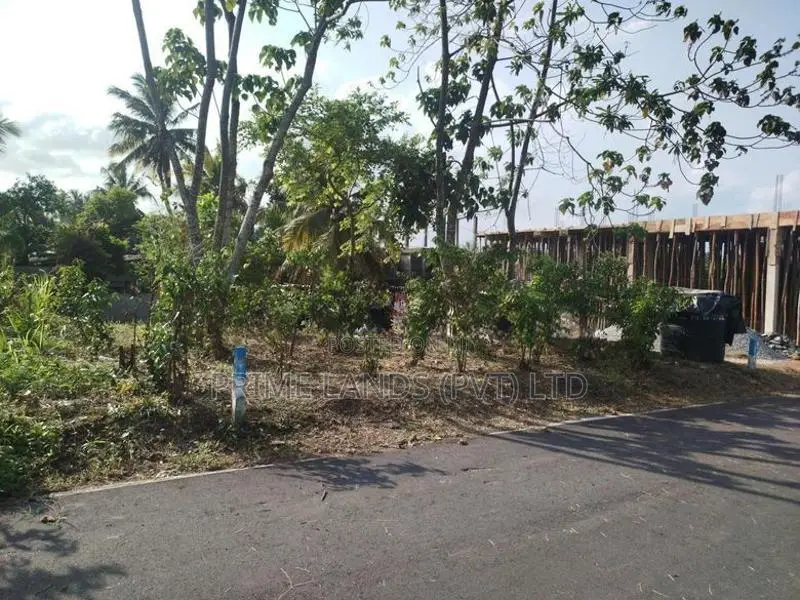 පිලියන්දල කොටගෙදර හන්දියට ආසන්නව බිම් කොටසක් විකිණීමට