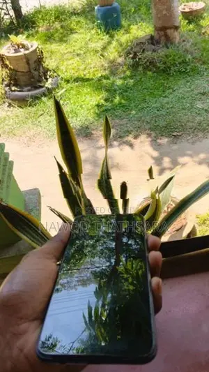 Samsung Galaxy M02s (Used)