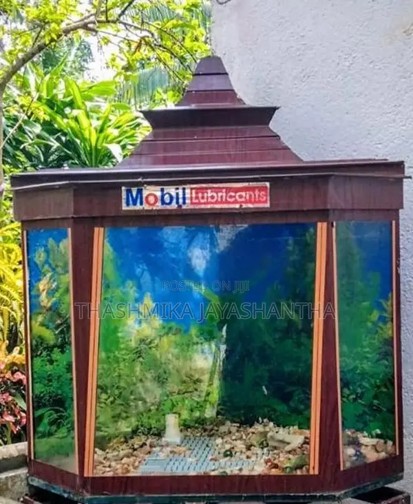 Fish Tank with Roof