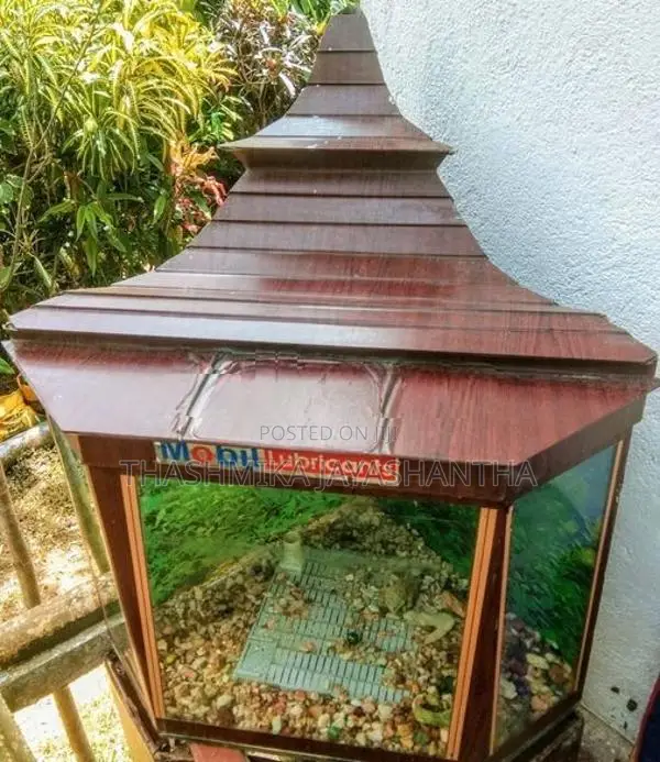Fish Tank with Roof