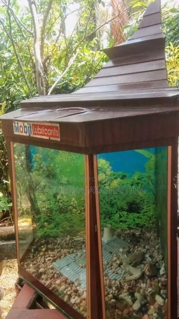 Fish Tank with Roof