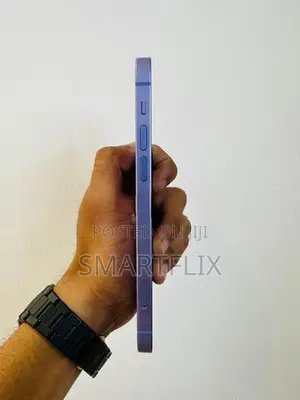 Apple iPhone 12 (Used)