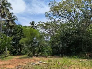226 Perch House for Sale in Kataragama CGGG-A2