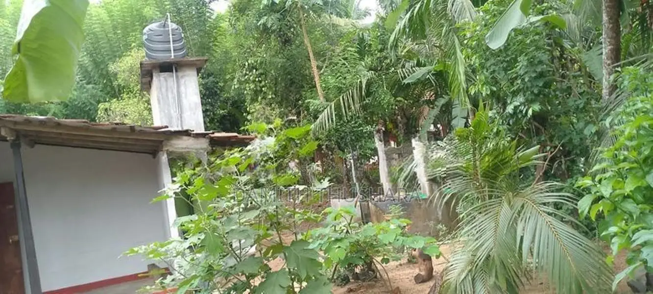 House in For Sale Danowita
