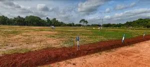 අනුරාධපුර බුලංකුලමෙන් සින්නක්කර බිම්කොටස් විකිණීමට