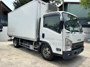Isuzu Elf 14.5 Freezer 2016