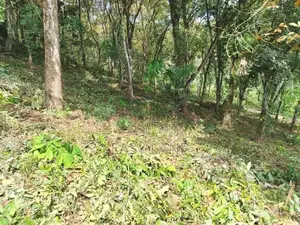 කොළඹ නුවර ප්‍රධාන මාර්ගයට ආසන්නයෙන් පර්චස් 340ක්