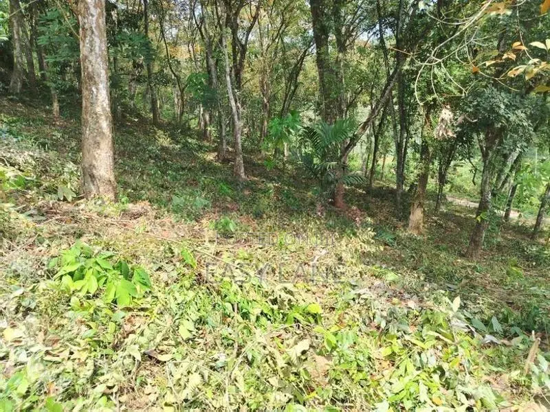කොළඹ නුවර ප්‍රධාන මාර්ගයට ආසන්නයෙන් පර්චස් 340ක්