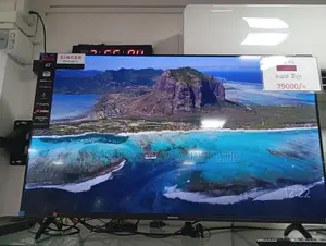 Singer Google 43 Led Tv