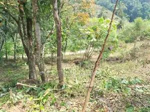 කොළඹ නුවර ප්‍රධාන මාර්ගයට ආසන්නයෙන් පර්චස් 340ක්