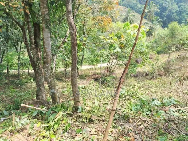 කොළඹ නුවර ප්‍රධාන මාර්ගයට ආසන්නයෙන් පර්චස් 340ක්