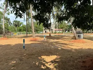 අනුරාධපුර සාලියමාවතෙන් සින්නක්කර බිම්කොටසක් විකිණීමට