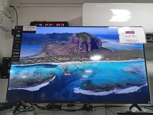 Singer Google 43 Led Tv
