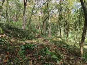 කොළඹ නුවර ප්‍රධාන මාර්ගයට ආසන්නයෙන් පර්චස් 340ක්