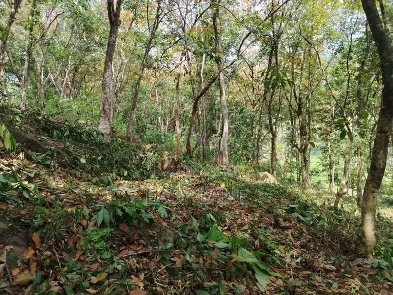කොළඹ නුවර ප්‍රධාන මාර්ගයට ආසන්නයෙන් පර්චස් 340ක්