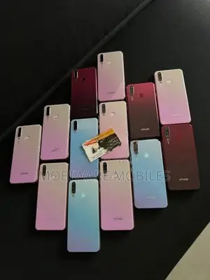 Vivo Y17 8GB 256GB (Used)