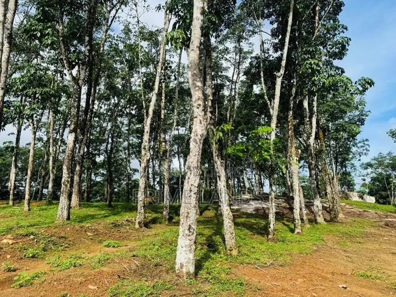 Land for Sale Horana Ballapitiya
