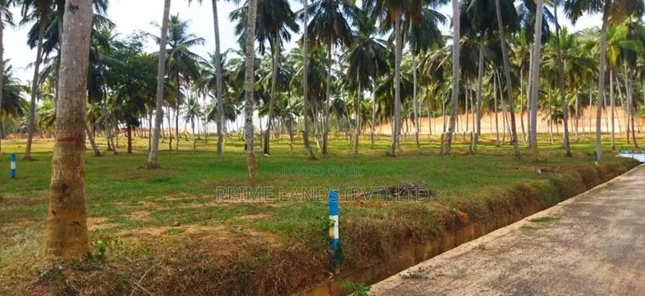 පදිංචියට ඉඩමක් නාරම්මල