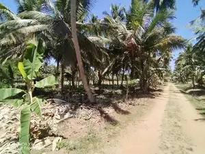 ව්‍යාපාරික හා නේවාසික බිම් කොටස් විකිනීමට බලල්ල