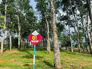 Land for Sale Horana Ballapitiya