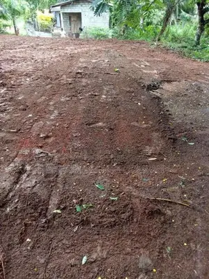 හොරණ පොකුණු විට ඉඩම