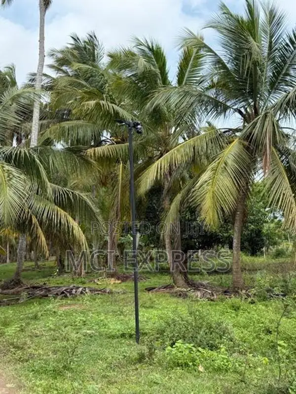 Land For Sale (අගනා පොල් ඉඩමක් )