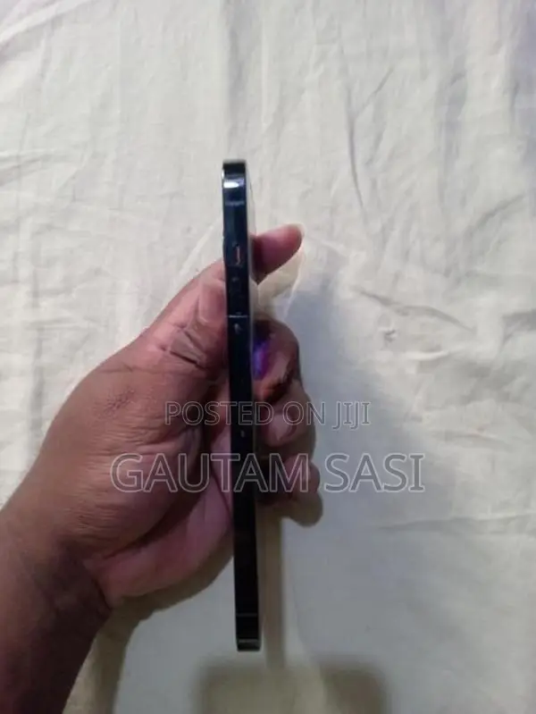 Apple iPhone 13 Pro Max (Used)