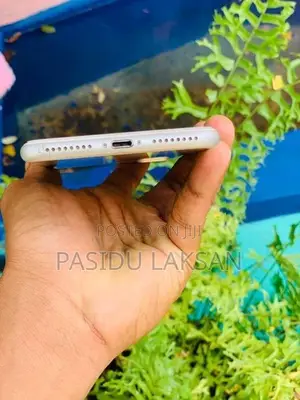 Apple iPhone 8 Plus (Used)