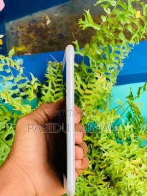 Apple iPhone 8 Plus (Used)