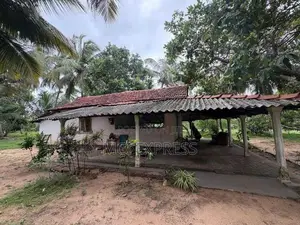 Land For Sale (අගනා පොල් ඉඩමක් )