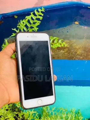 Apple iPhone 8 Plus (Used)