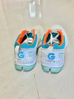 Cricket Shoes