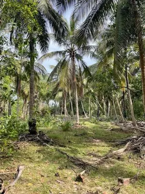 Land for sale in " Kiran Batticaloa District"