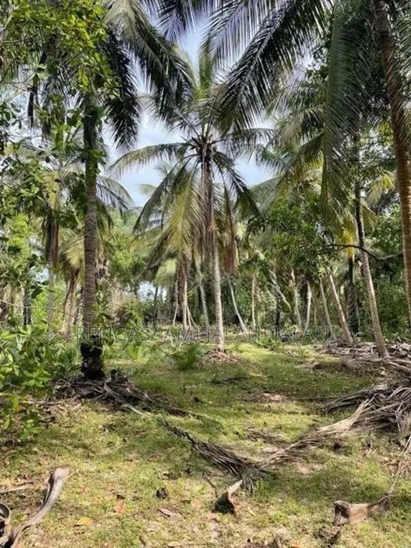 Land for sale in " Kiran Batticaloa District"