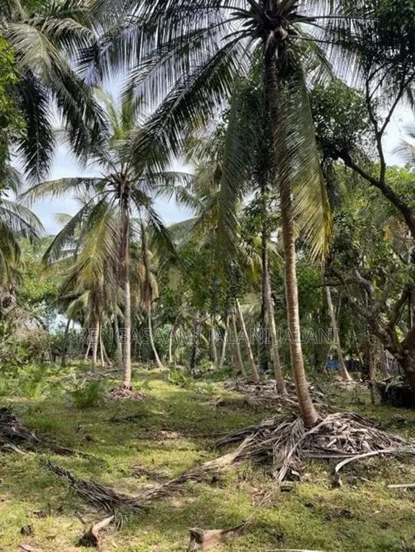 Land for sale in " Kiran Batticaloa District"