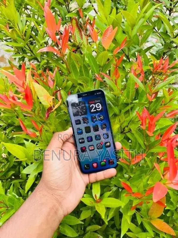 Apple iPhone 12 64GB (Used)