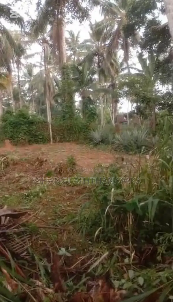 27 Perch Land for Sale in Padukka
